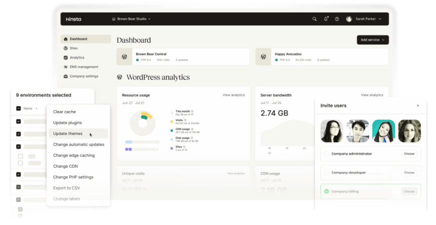 Kinsta dashboard
